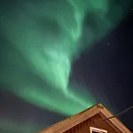 Reindeer Paradice In Tromso Kvaloya * Kvaloysletta