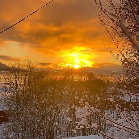 Leilighet Reindeer Paradice In Tromsø Kvaløya