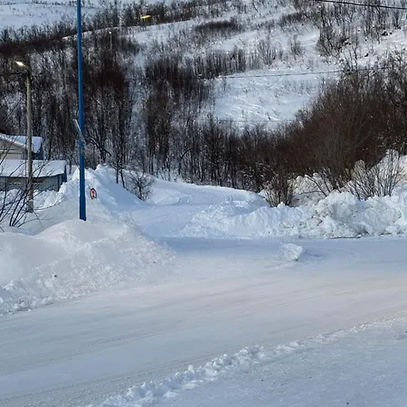 Reindeer Paradice In Tromso Kvaloya Kvaloysletta