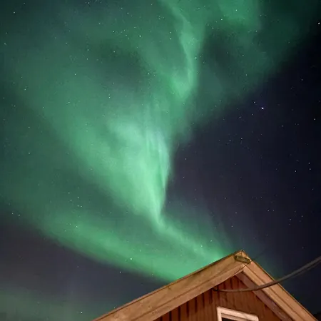 Reindeer Paradice In Tromsø Kvaløya * Kvaløysletta