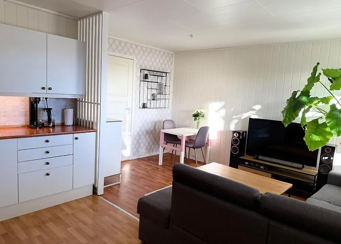 Reindeer Paradice In Tromsø Kvaløya * Kvaløysletta